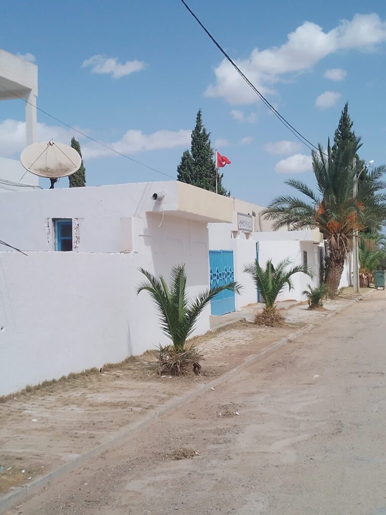 A white Tunisian house with blue doors, palm trees, and a Tunisian flag in the village of Amiret Hojjej.